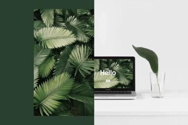 How Unsplash can help your forms look less like forms
