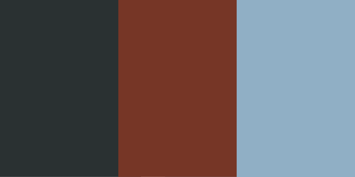 An image of dark charcoal, deep rust, and sky blue color combination.