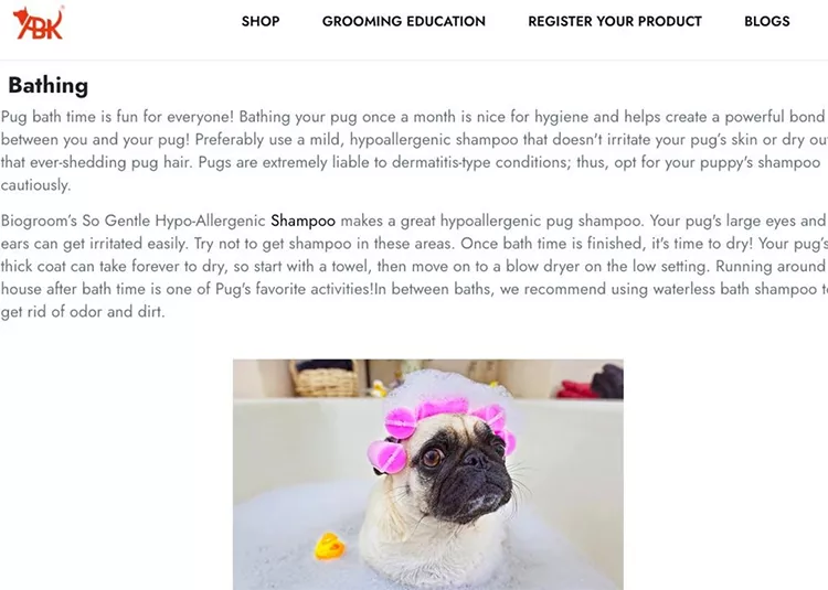 A pug in a bathtub wearing a pink shower cap. The page describes the importance of bathing pugs, recommending hypoallergenic shampoo and tips for drying and managing their coat.