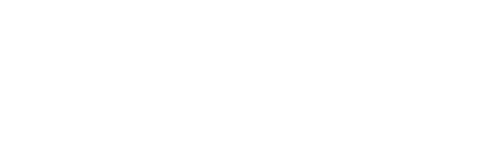 Shopify Logo