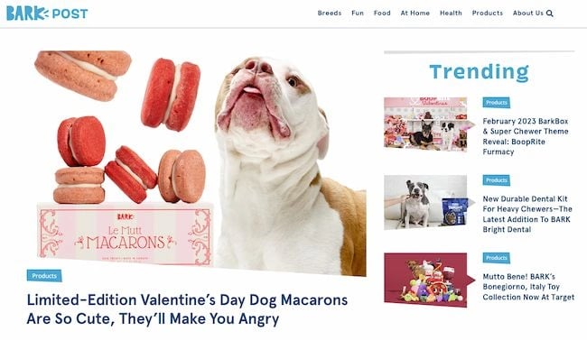 Blogs in websites design examples: BarkPost