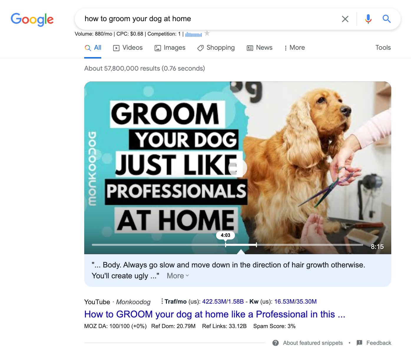 Dog grooming video SERP