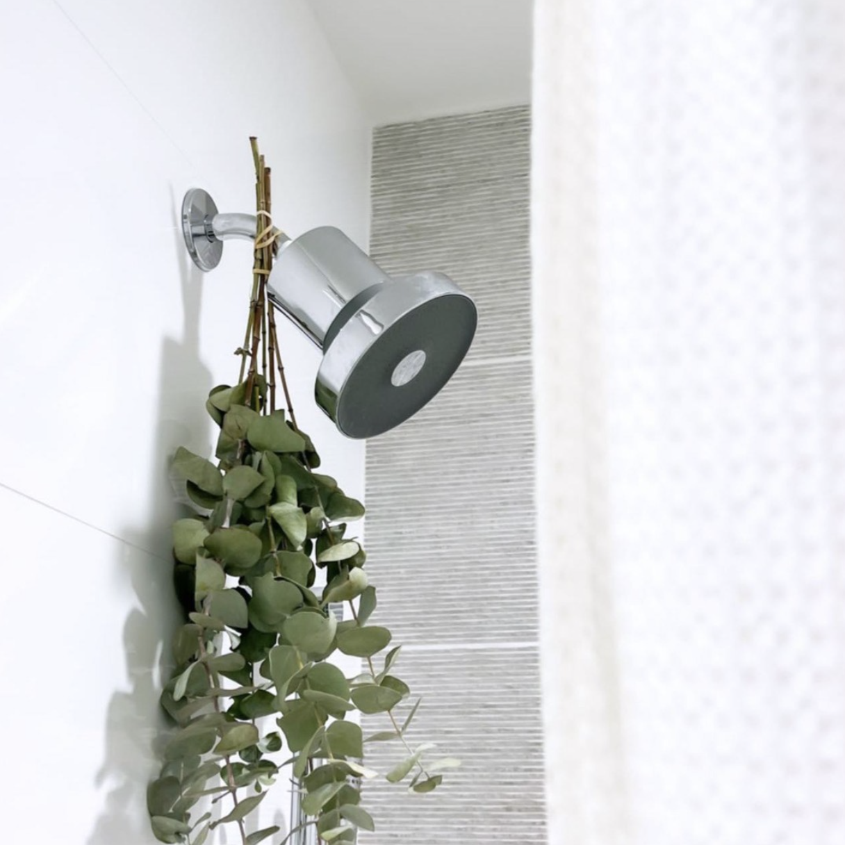 A Jolie showerhead with eucalyptus hung from it