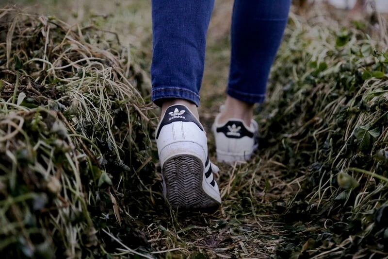 Person taking steps in the grass showing the steps of the marketing process.
