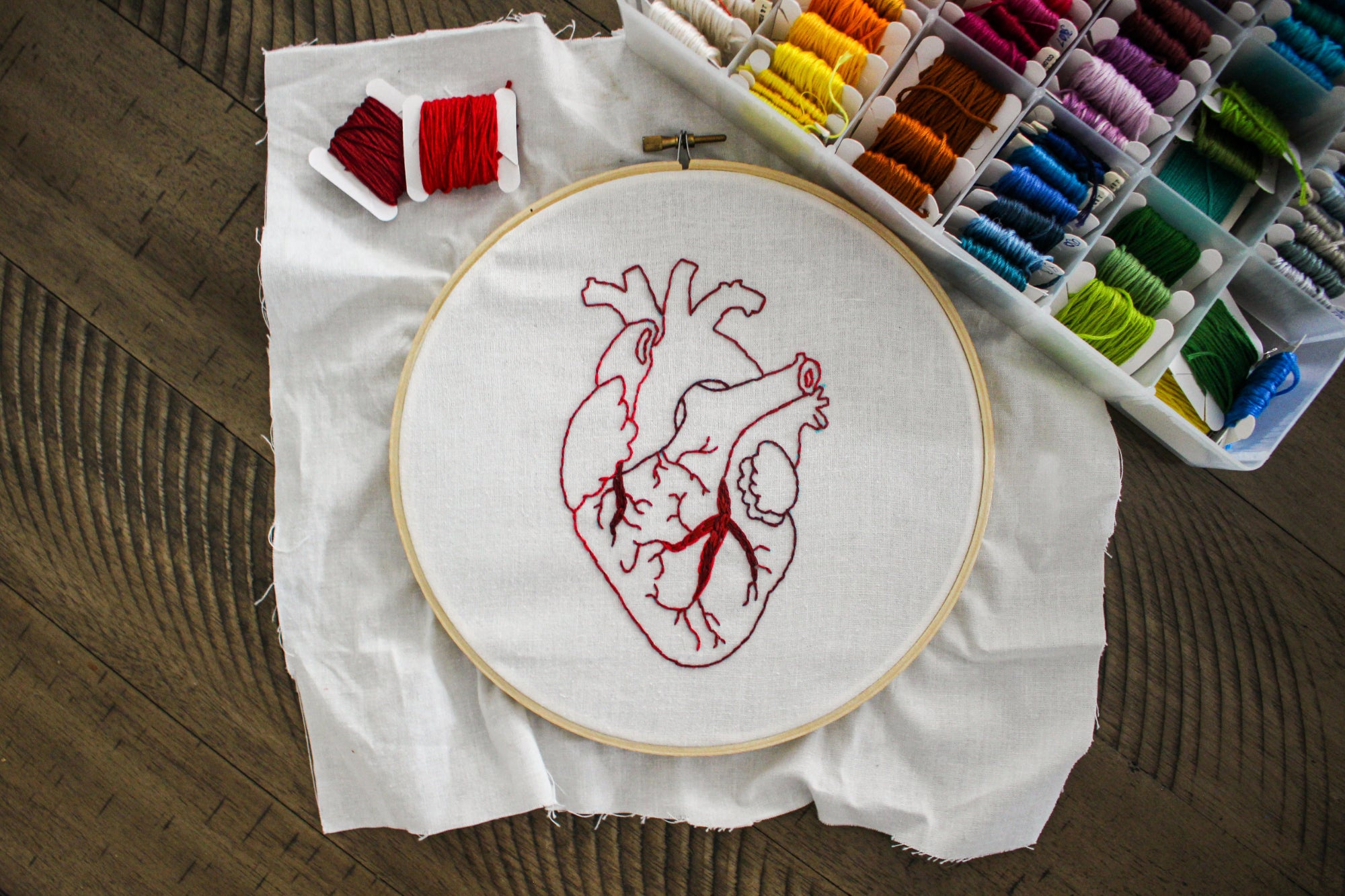 A cross stitch art project featuring an anatomical heart