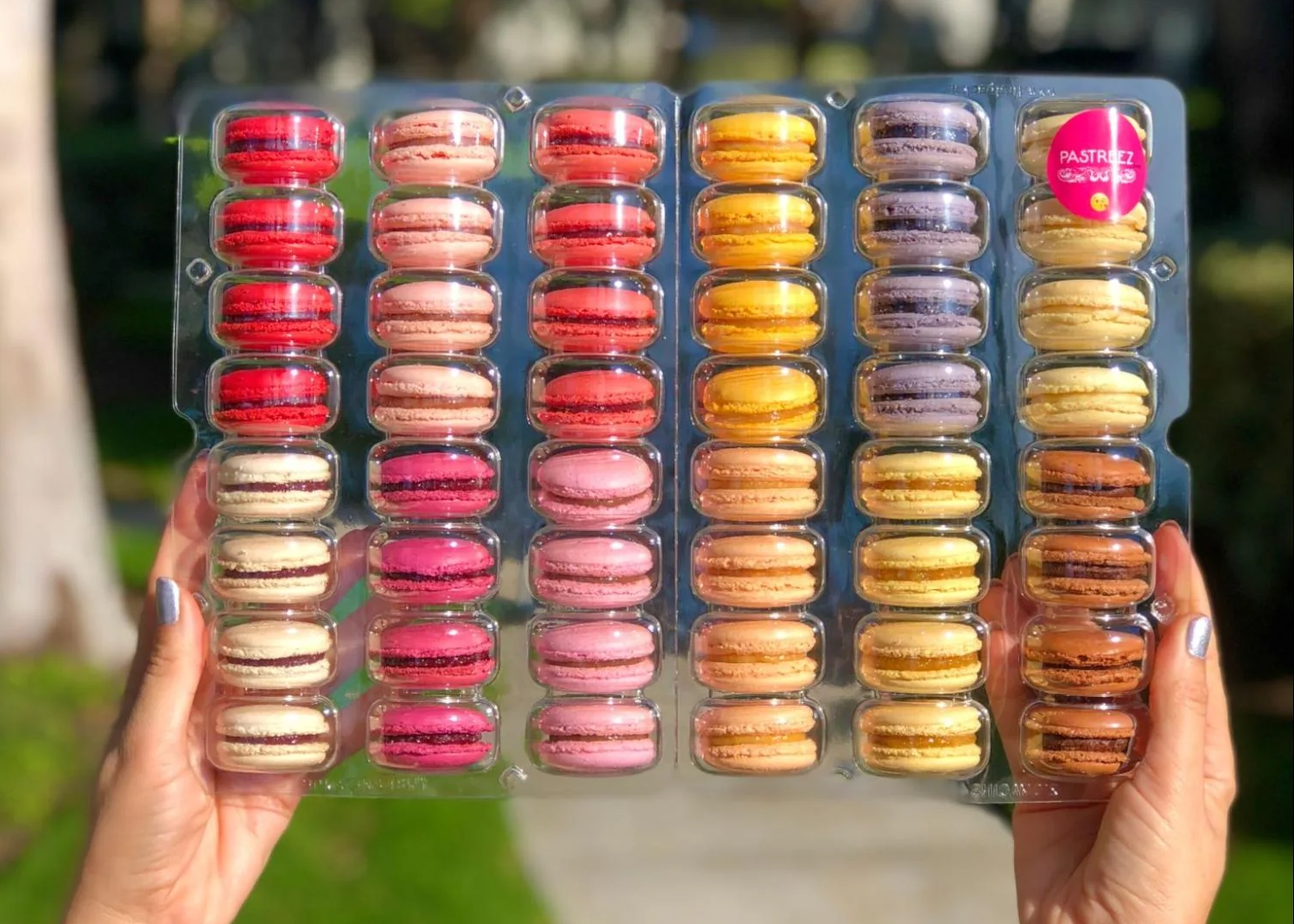 A person holds up a tray of macarons