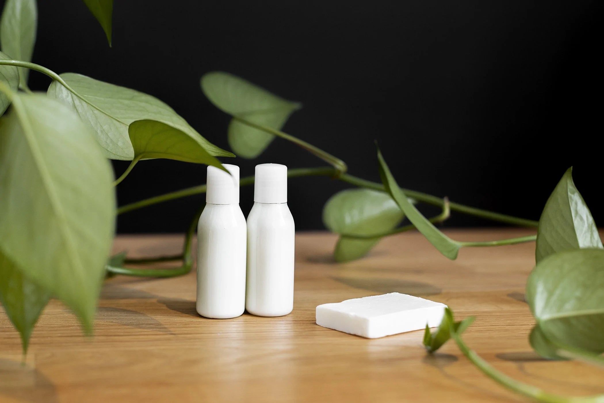 Two blank skincare bottles sit on a wooden surface among plants