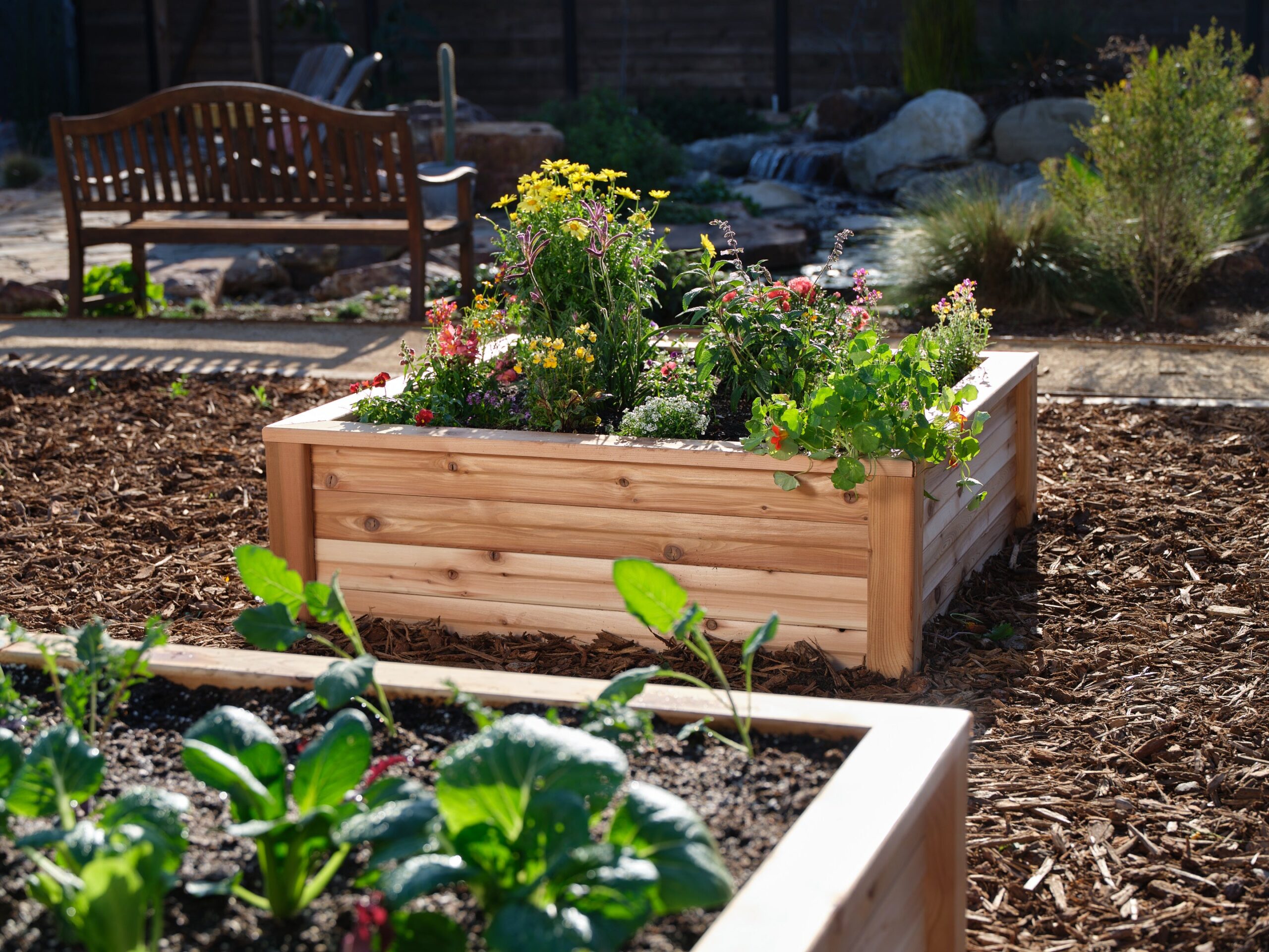 Two raised flower beds with flowers