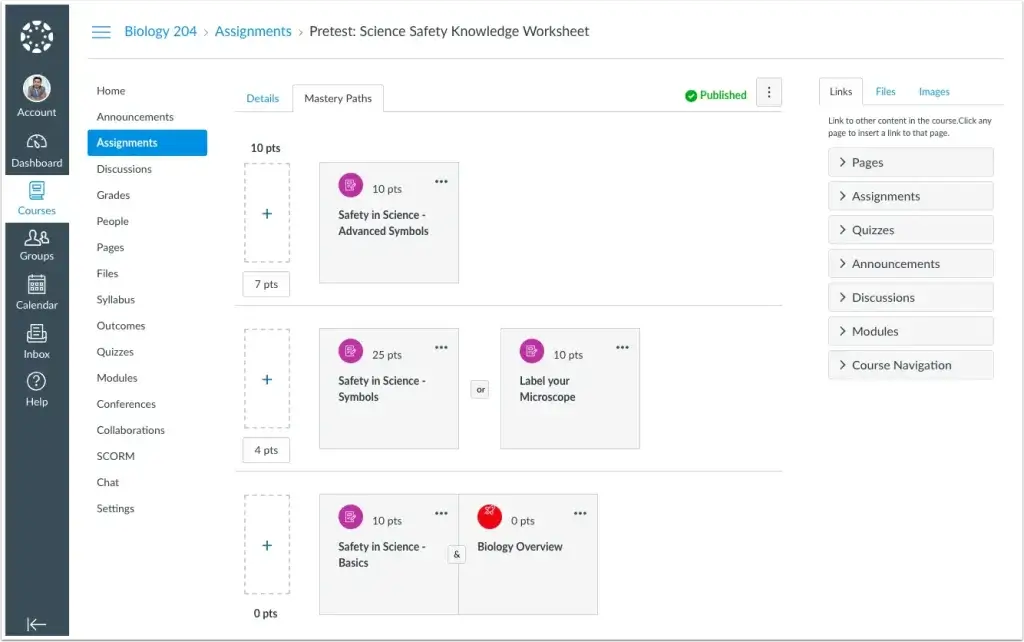 A screenshot showing Canvas LMS platform and user interface.