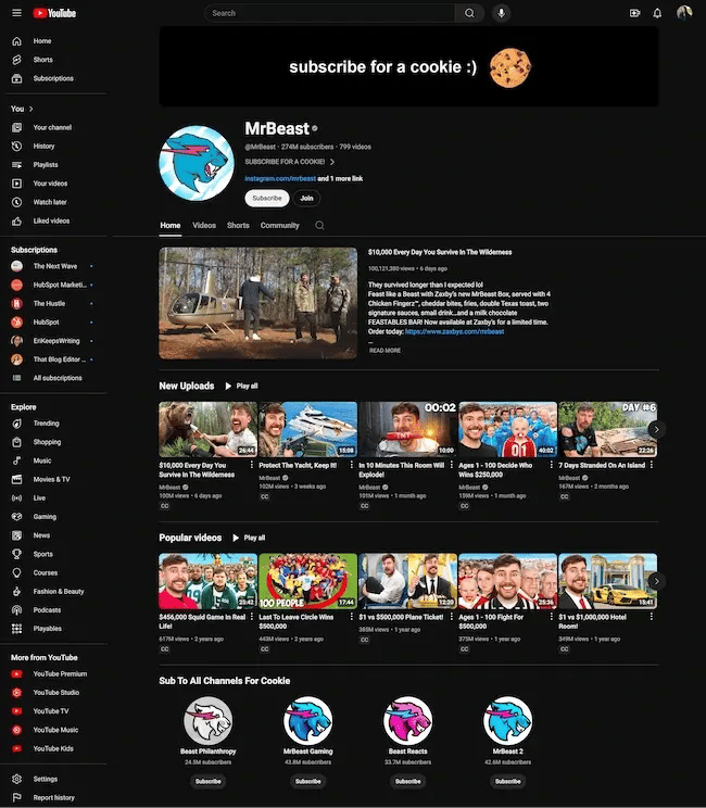 Screenshot showcasing the popular channel on YouTube, Mr. Beast. He is a perfect example of a successful content creator.