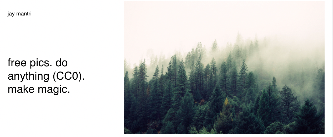 Jay Mantri free stock photo homepage shows a picture of a misty forest