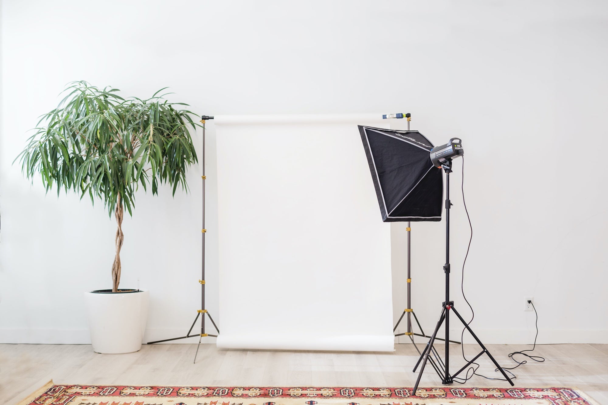 Home photography studio set up with lights, a backdrop, and a plant