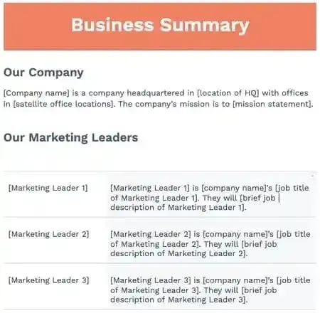 Screenshot of the “business summary” in a sample marketing plan template