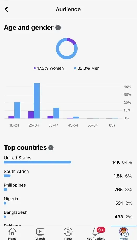 use Facebook Insights to identify target audience