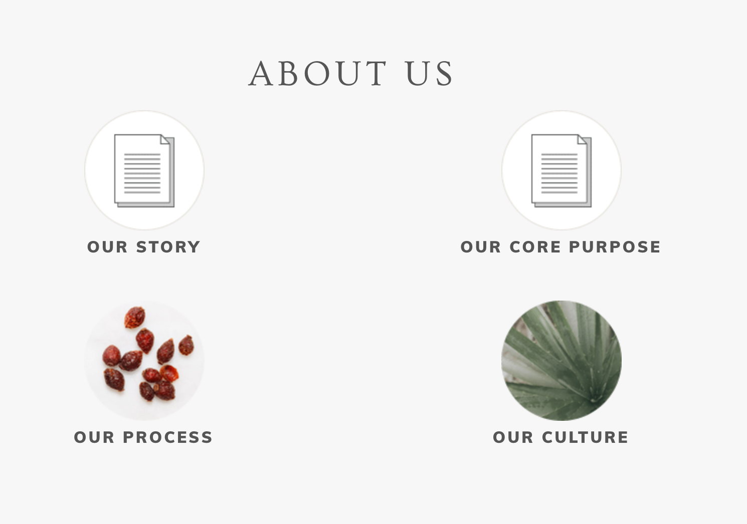 An about us page for brand Annmarie Skin Care featuring sections: our story, our process, our culture, and our core purpose.