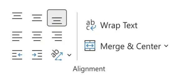 image of interface with text wrapping option in excel