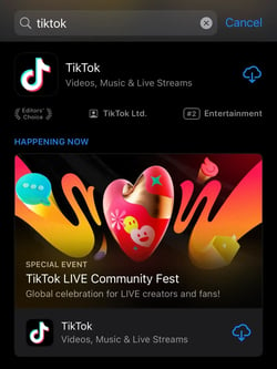 Searching “tiktok” on the App Store.