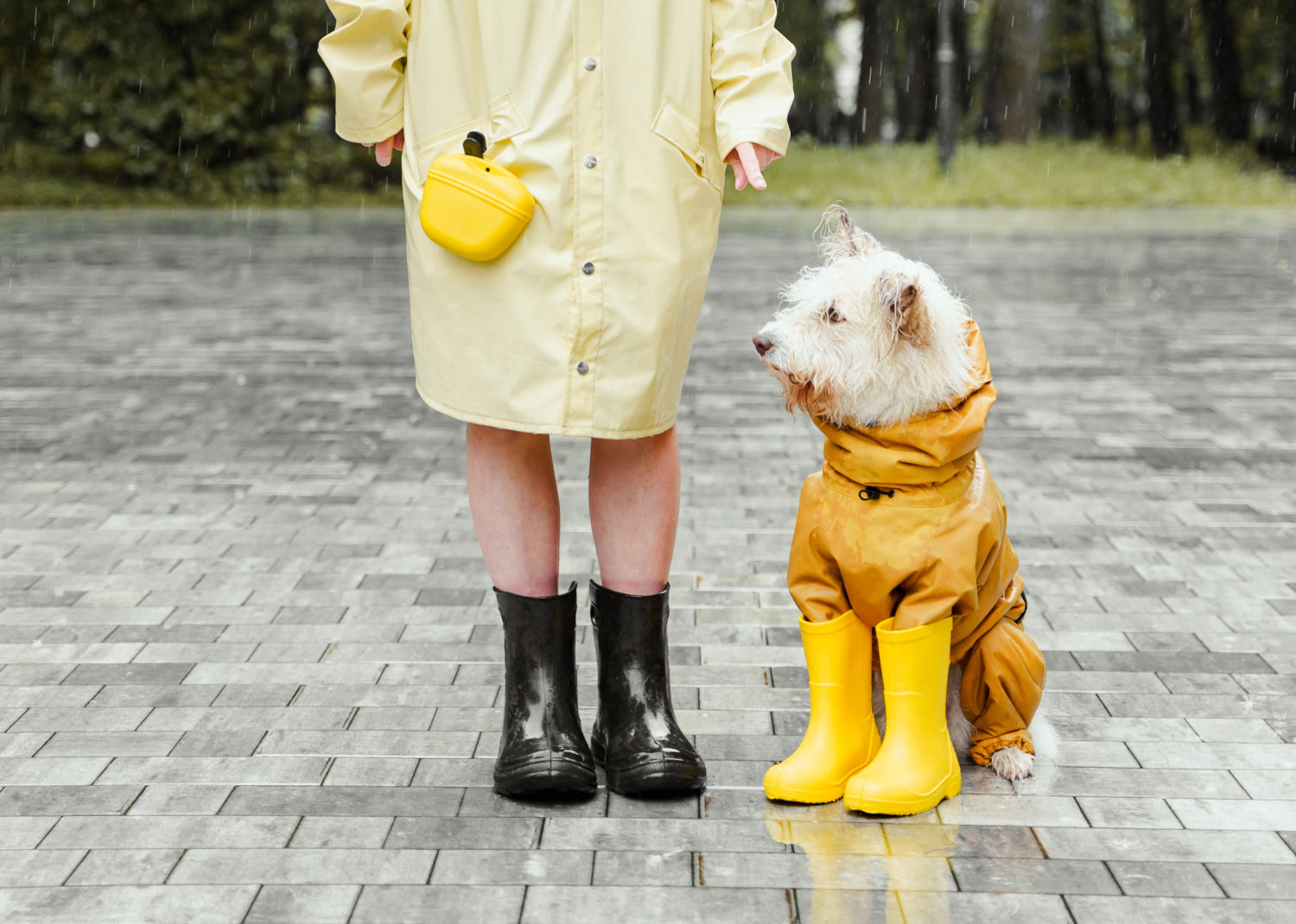 Person and dog both dressed in yellow raincoats standing in the rain.