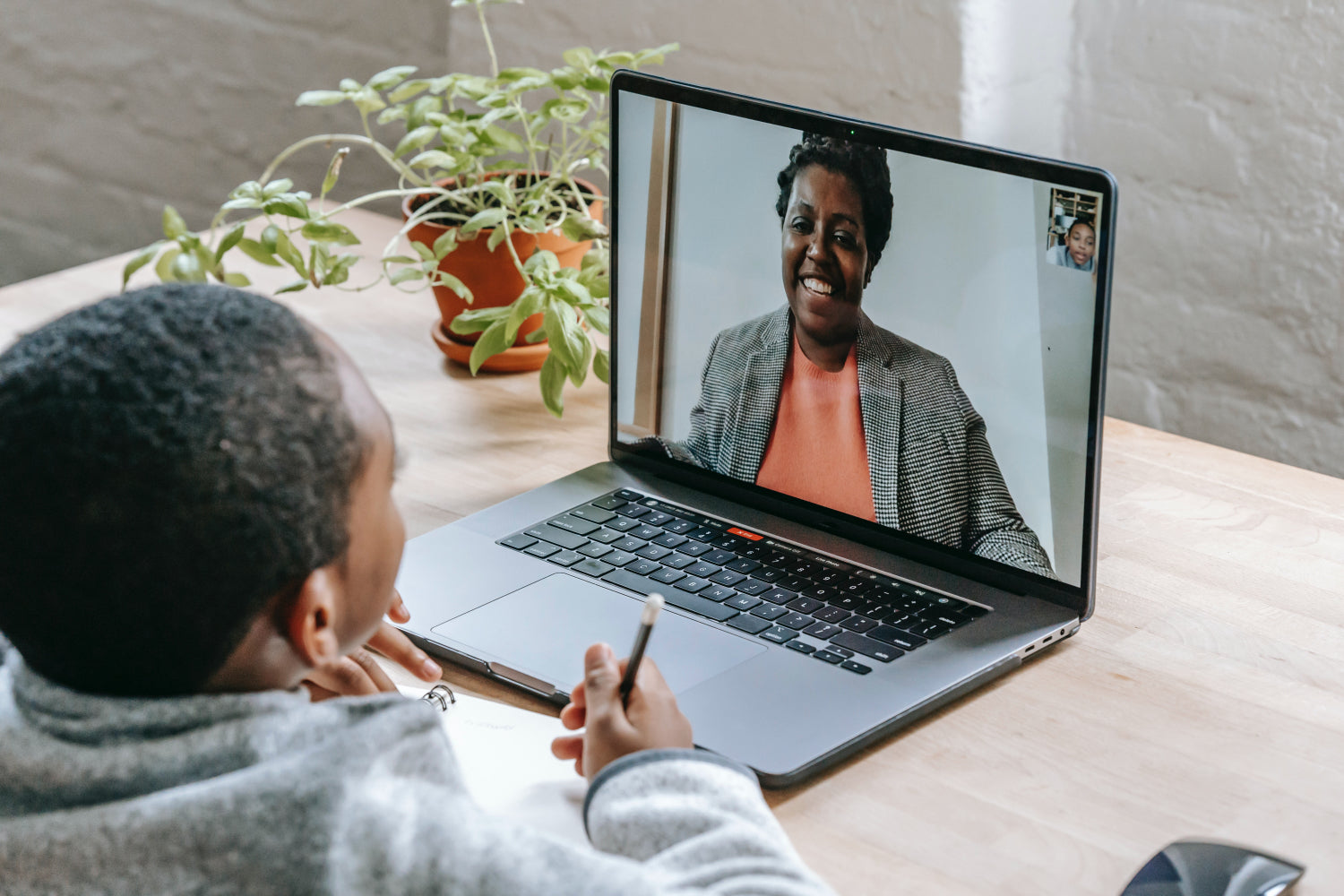 Child participating in video call with woman on laptop screen, with plant in the background.