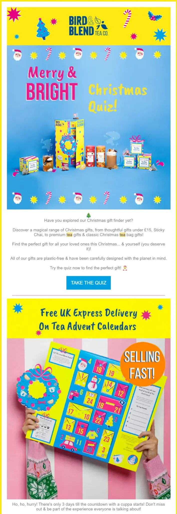 A screenshot of an email teaser by Bird & Blend Tea Co. sent after Black Friday.