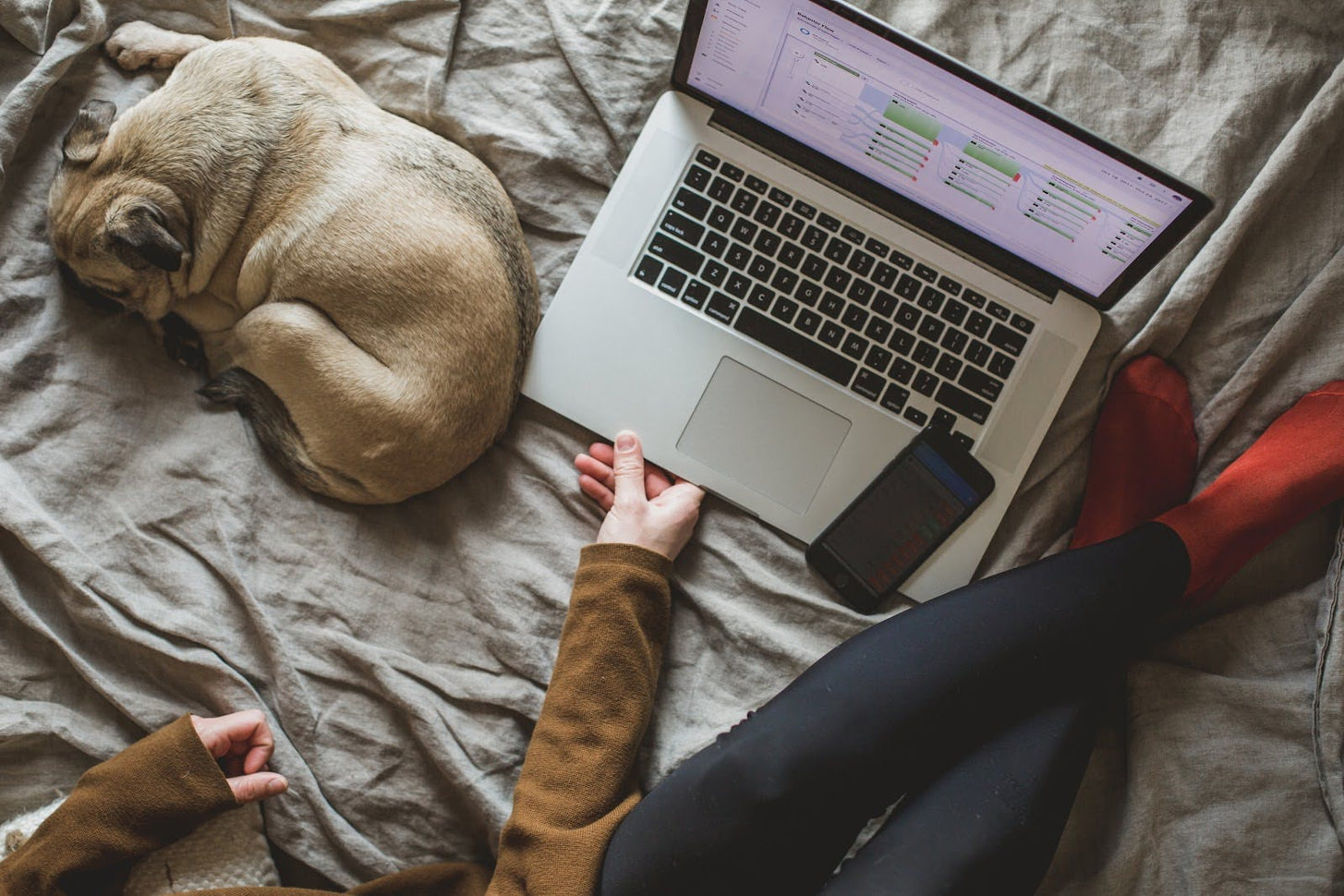 A person works on their business from bed beside a sleeping dog.