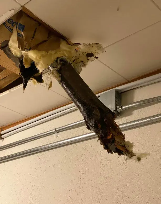 A tree limb sticking through the roof of Gamers’ Haunt