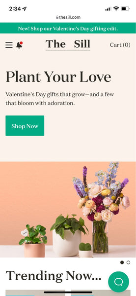 Mobile view of The Sill’s website with Valentine’s Day gift promotion.