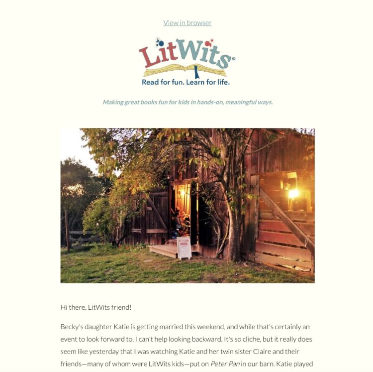 litwits newsletter example