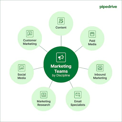 Marketing team functional structure