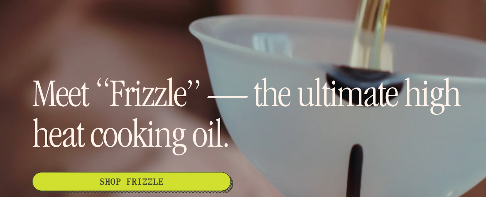 CTA button that reads “Shop Frizzle.”