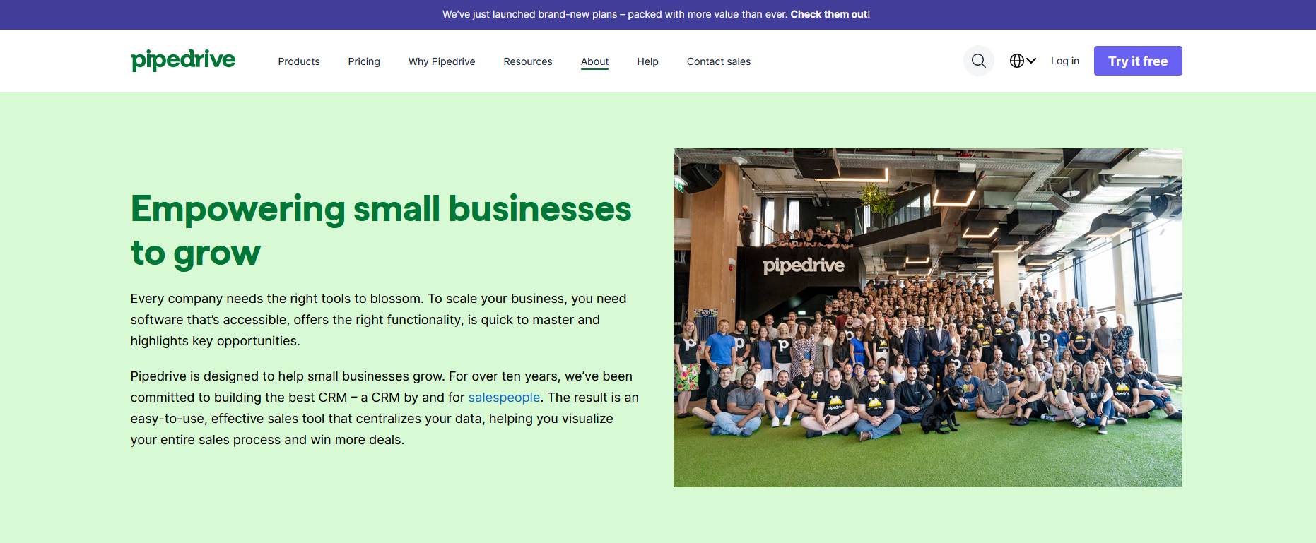 Brand identity Pipedrive example