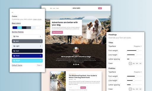 Example of Podia customizable website