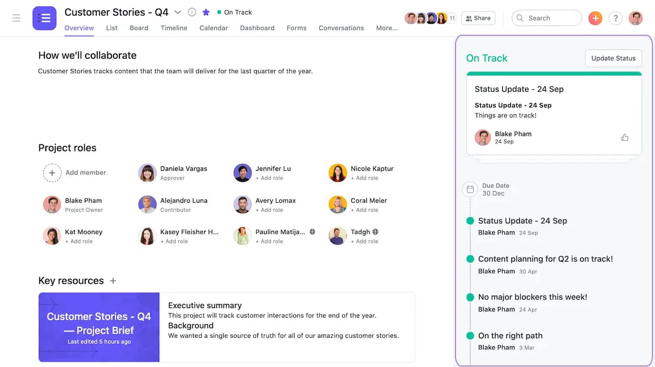 Marketing agency software Asana project overview