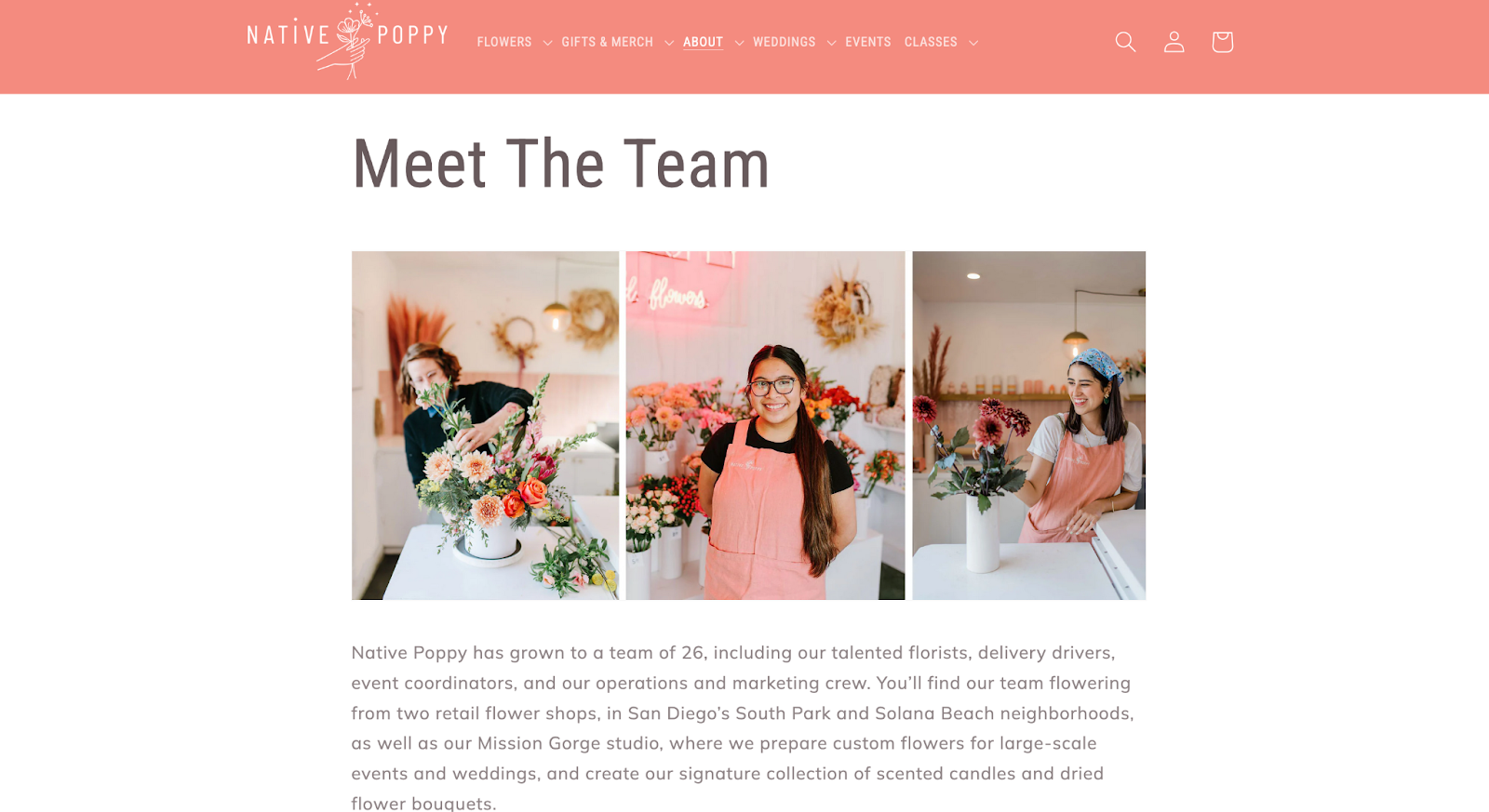 You can feature your products in team photos like Native Poppy.